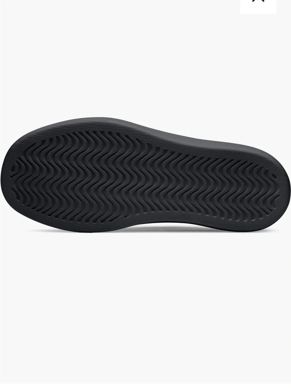 allbirds classic black